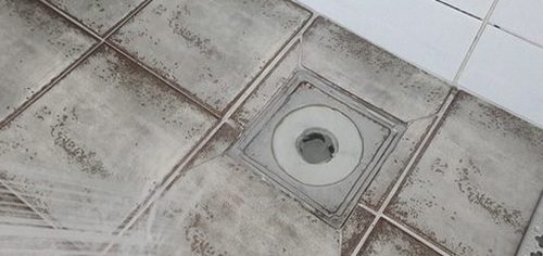 여주 하수구막힘 월송동 하수구막힘 오수관 청소 현장에서 본 막힘 원인