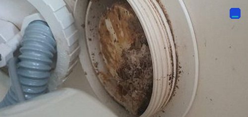 여주 · 전화 상담 뒤 방문 고객 글 사진