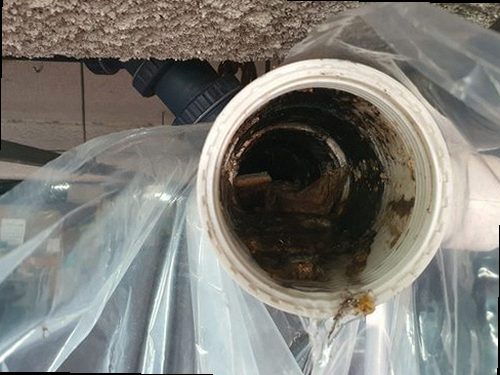 여주 하수구막힘 배관 점검 전 주변을 정리하고 안전을 확보한 현장