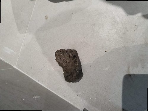 여주 하수구막힘 배수 상태를 확인한 뒤 주변을 정리하는 모습